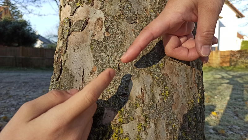 Zeigefinger zweier Hände zeigen aufeinander