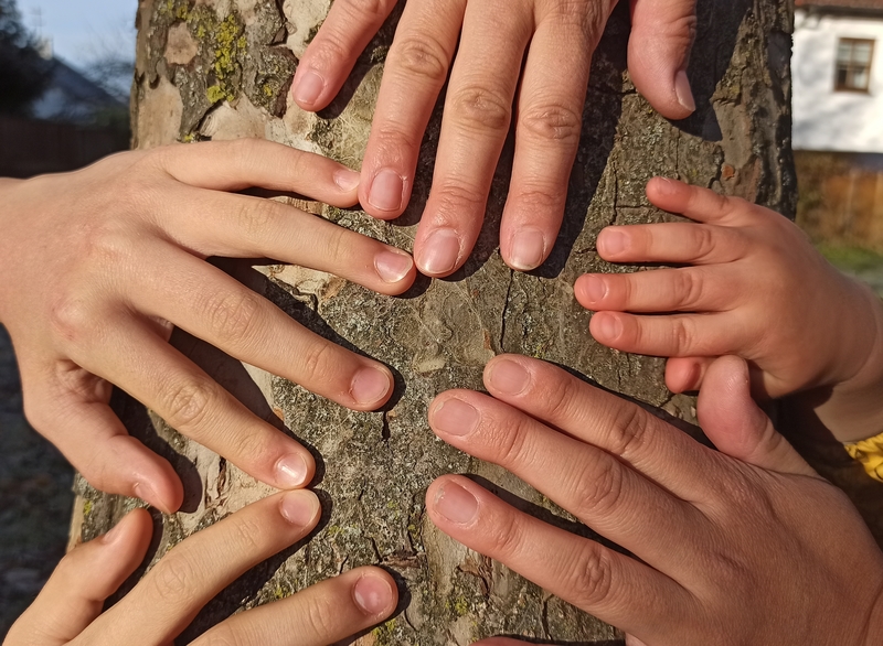 5 Händen (2 Erwachsene, 3 KInder) vor einem Baumstamm