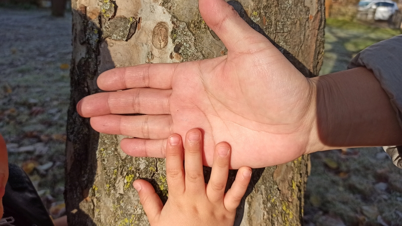 Kinderhand liegt in Elternhand vor eine Baumstamm